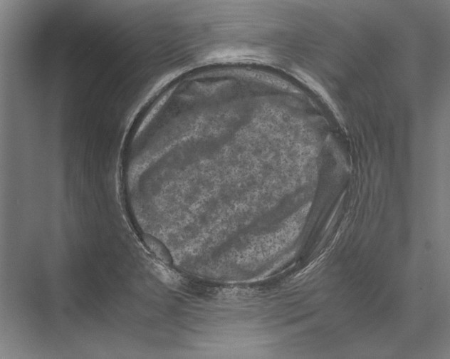 X0000075381277200610061829