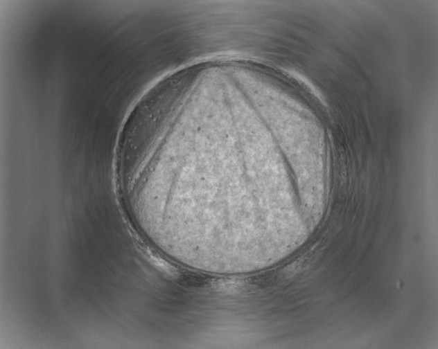 X0000075381278200610061829