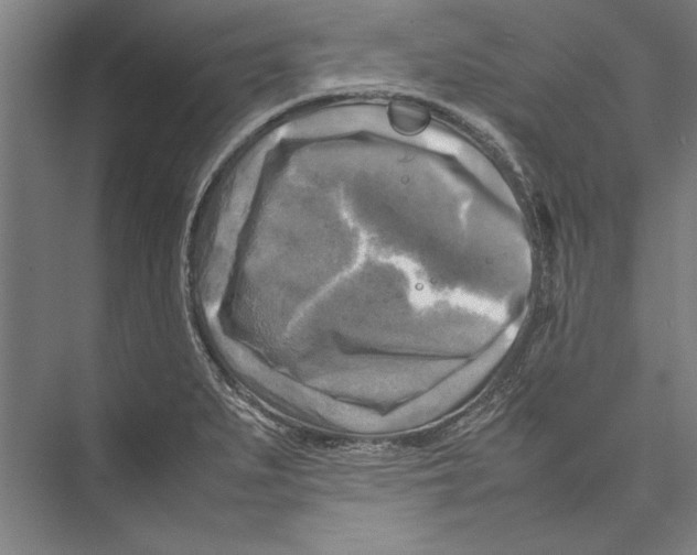 X0000075381279200610061829