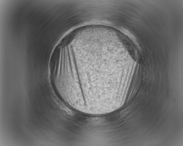 X0000075381280200610061829