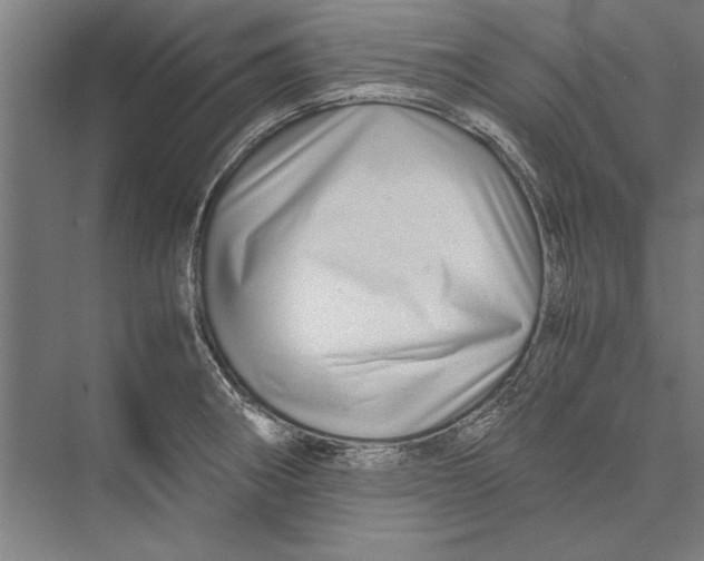 X0000075381282200610061829