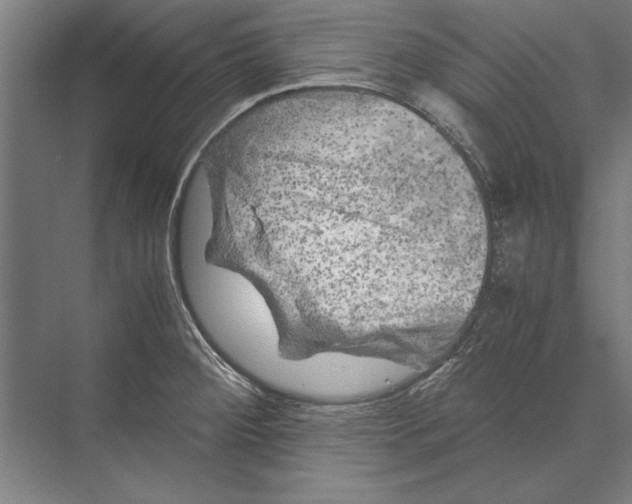 X0000075381284200610061829