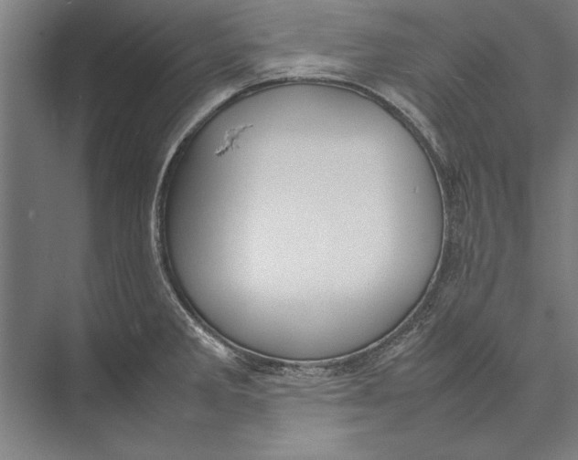 X0000075381285200610061829