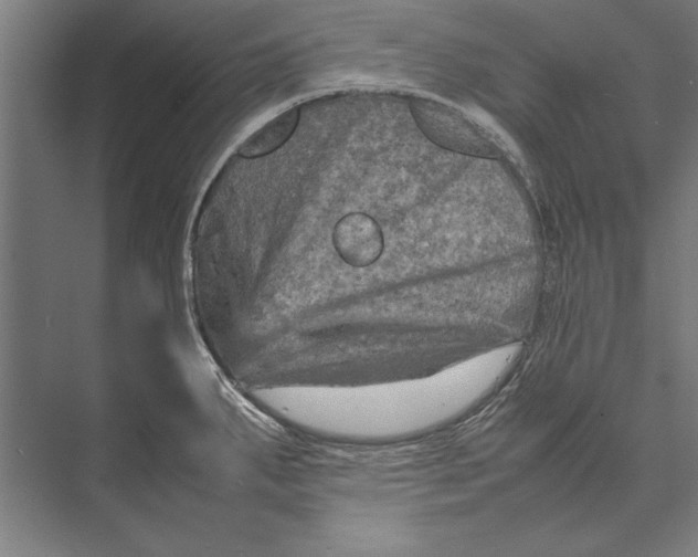 X0000075381287200610061829