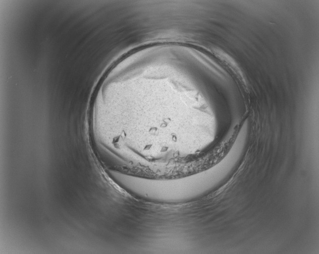 X0000075381288200610061829