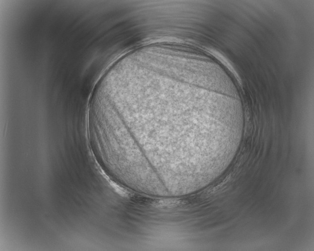 X0000075381290200610061829