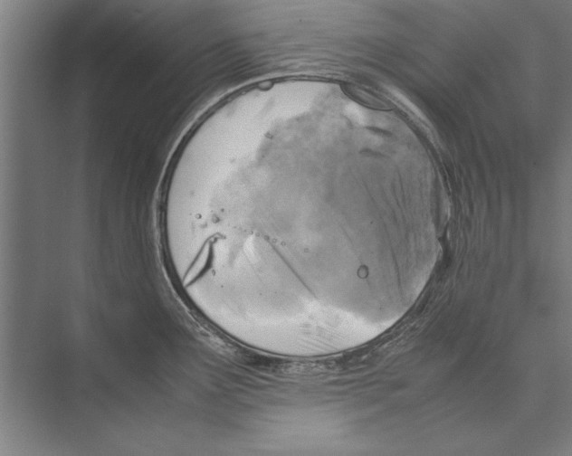 X0000075381291200610061829