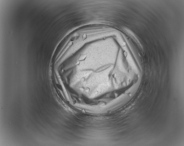 X0000075381292200610061829