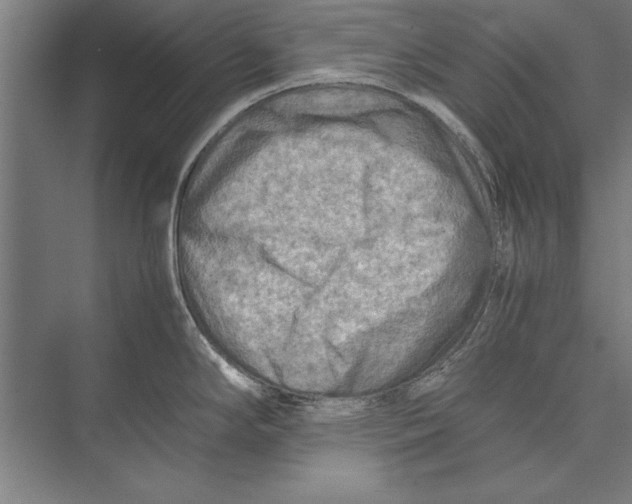 X0000075381294200610061829