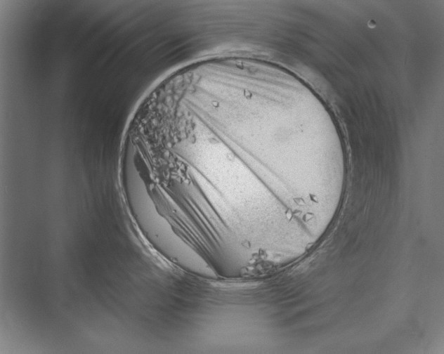 X0000075381296200610061829