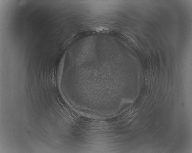 X0000075381298200610061828