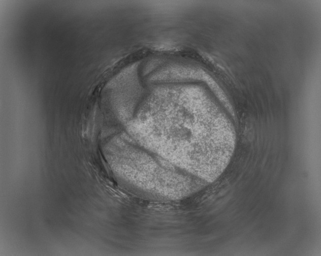 X0000075381301200610061828