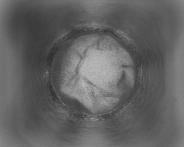 X0000075381302200610061828