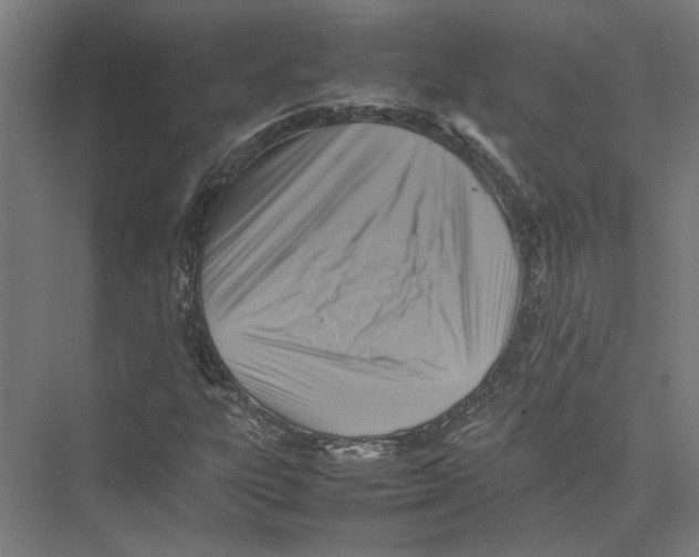 X0000075381303200610061828