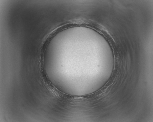 X0000075381304200610061828