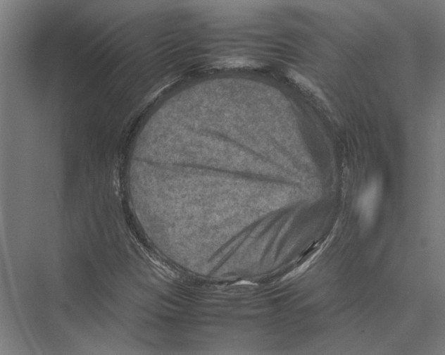 X0000075381305200610061828