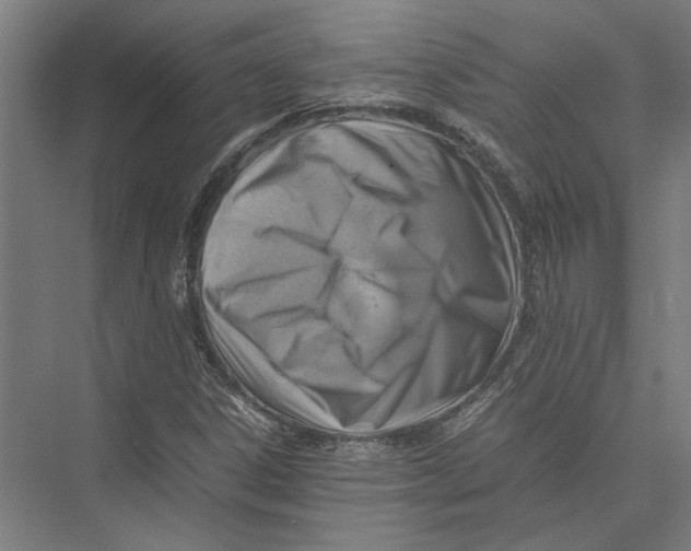 X0000075381306200610061828