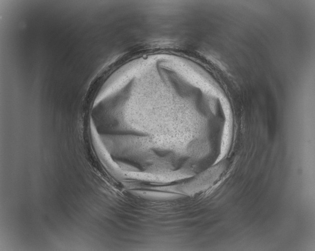 X0000075381309200610061828