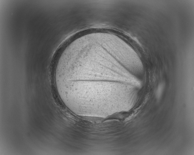 X0000075381311200610061828