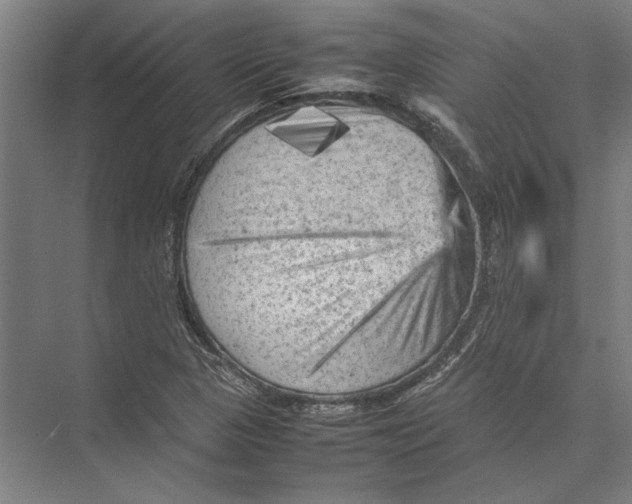 X0000075381313200610061828