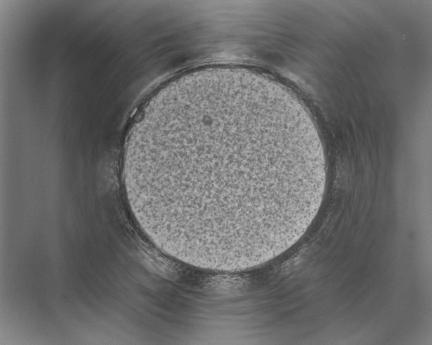 X0000075381314200610061828