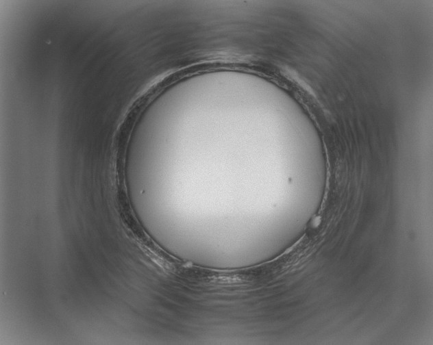 X0000075381315200610061828