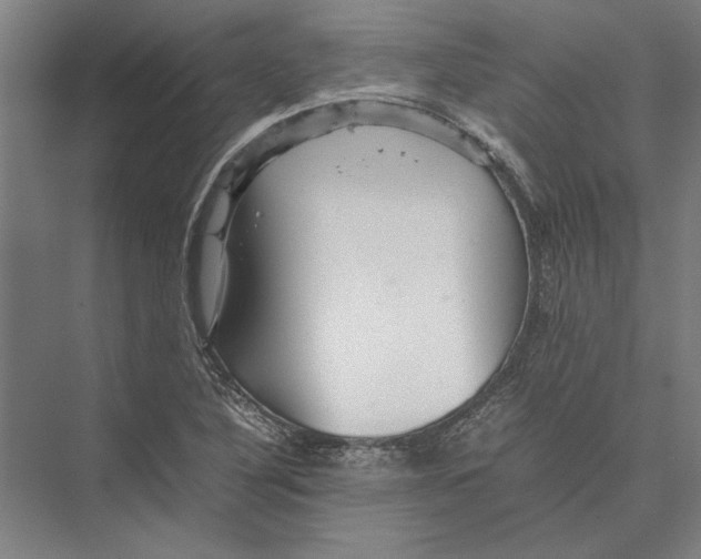 X0000075381316200610061828