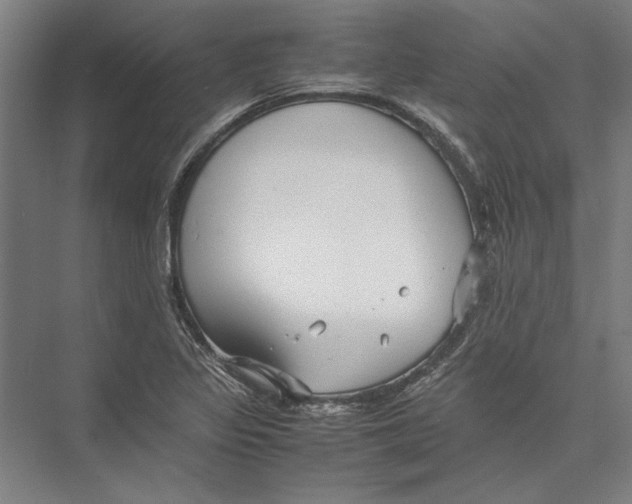 X0000075381317200610061828