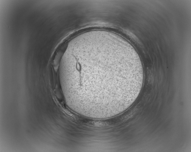 X0000075381318200610061828