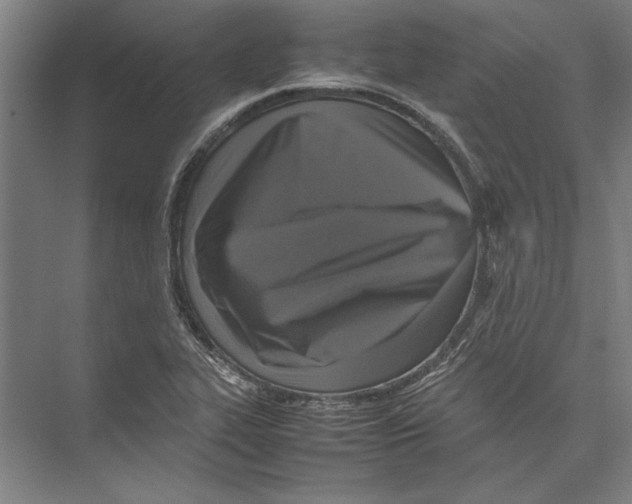 X0000075381319200610061828