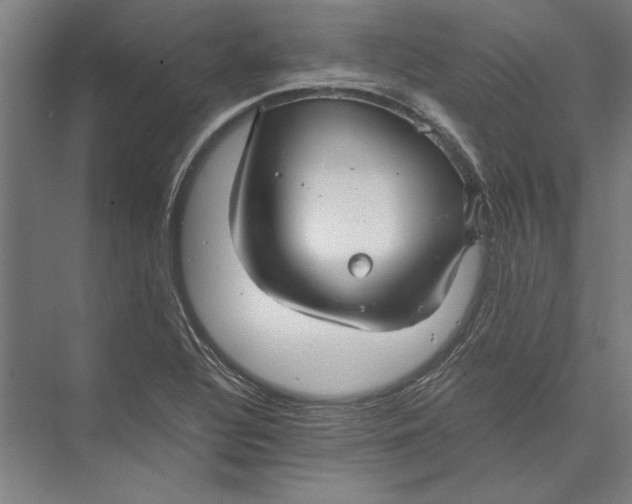 X0000075381320200610061828