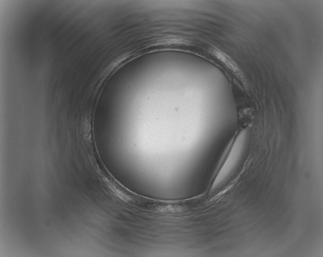 X0000075381321200610061828