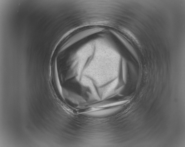 X0000075381324200610061829