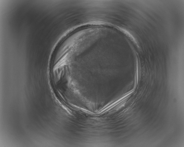 X0000075381327200610061829