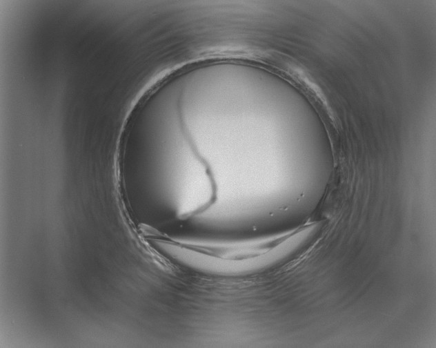 X0000075381328200610061829