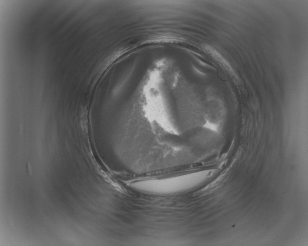 X0000075381329200610061829