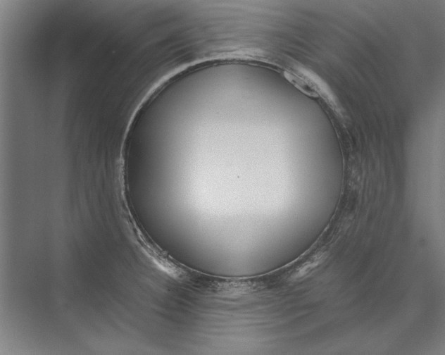 X0000075381332200610061829