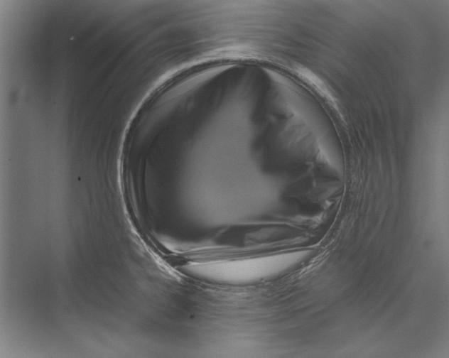 X0000075381334200610061829