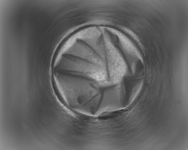 X0000075381335200610061829