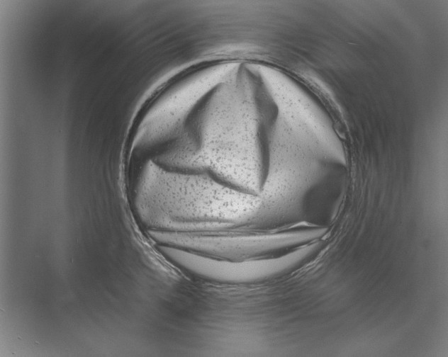 X0000075381336200610061829