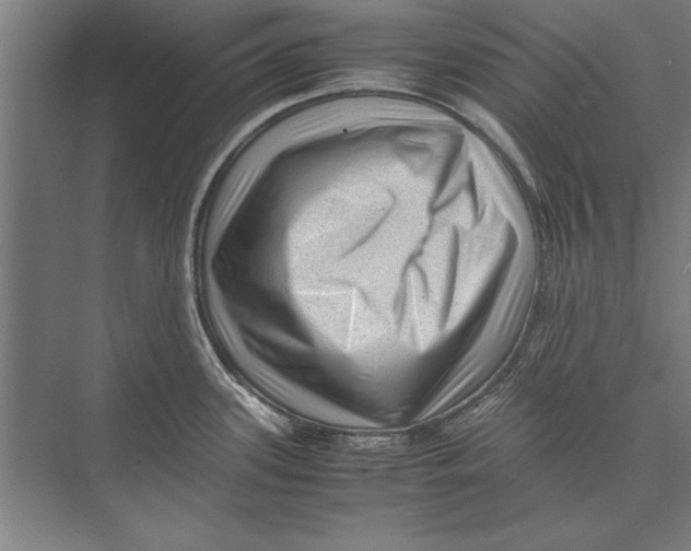 X0000075381339200610061829