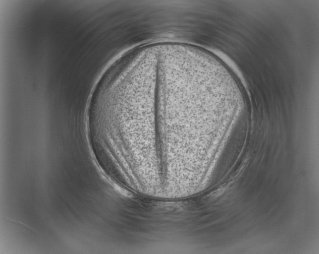 X0000075381341200610061829