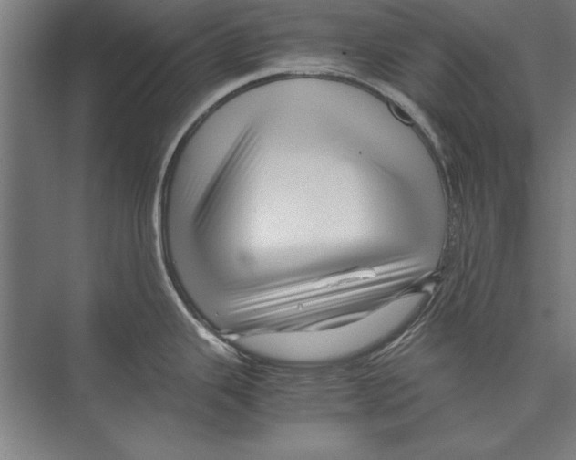 X0000075381343200610061829