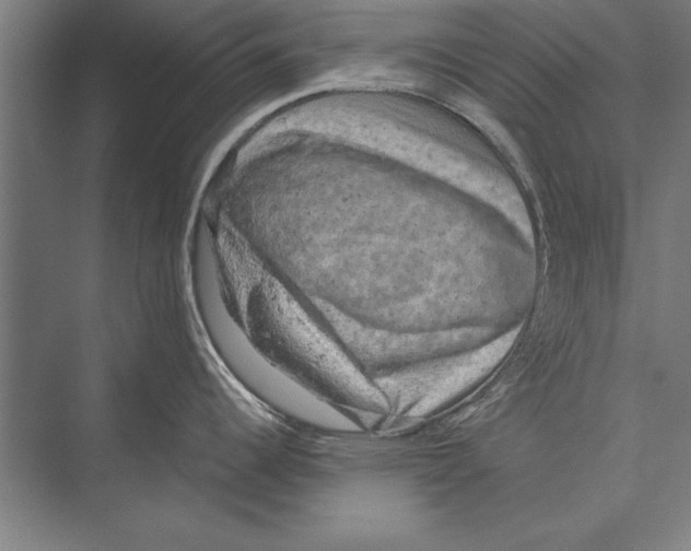 X0000075381344200610061829