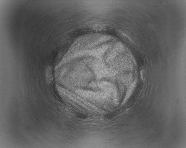 X0000075381347200610061828