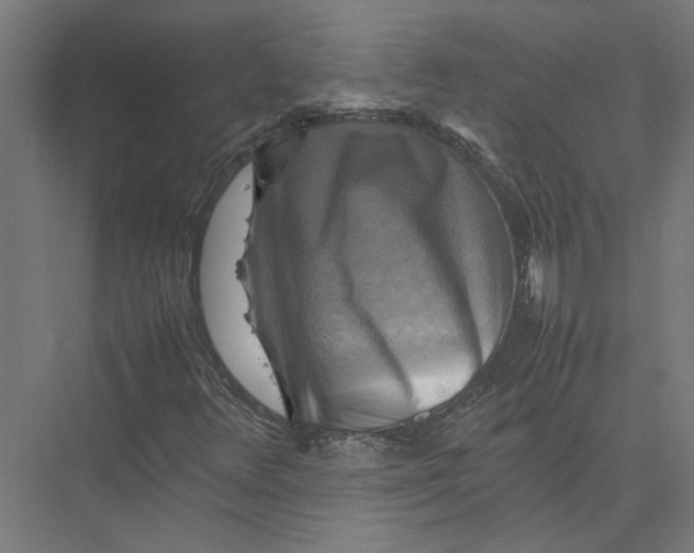 X0000075381348200610061828