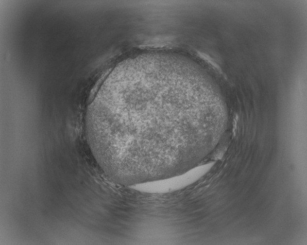 X0000075381350200610061828