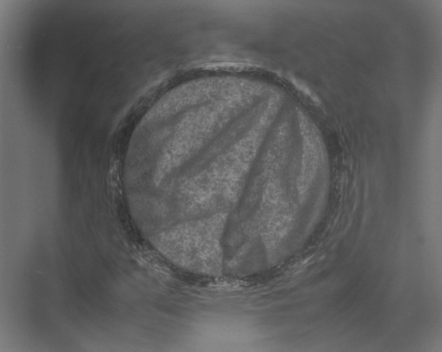 X0000075381351200610061828