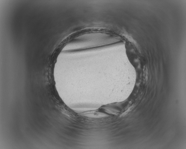 X0000075381352200610061828