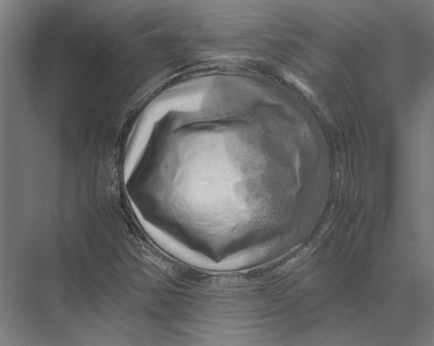 X0000075381354200610061828